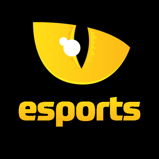 Esports Academy: l'eSport in Italia!