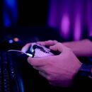 Capgemini Fortnite Cup