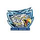 Lecco eSports