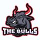 The ßulls
