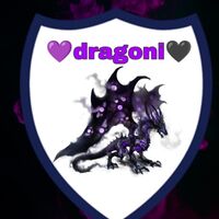 DRAGON FC11