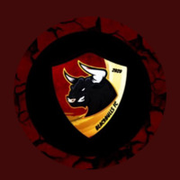BlackBulls FC