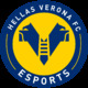 OP HellasVerona