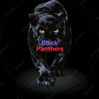 Black PHANTERS