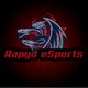 Rapyd eSports