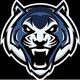 Blue Tigers Esp