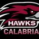Calabria Hawkss