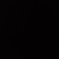 BLACK PANTHERS IS BACK