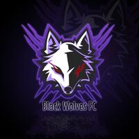 BlackWolves ESPORTS