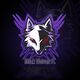 BlackWolves ESPORTS