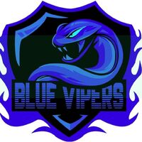 FC Blue Vipers
