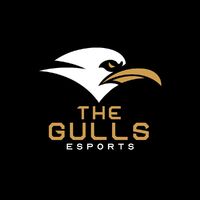 The Gulls Esports Academy